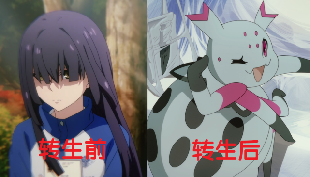 转生前vs转生后女主从美少女变蜘蛛卡迪雅前世是男生