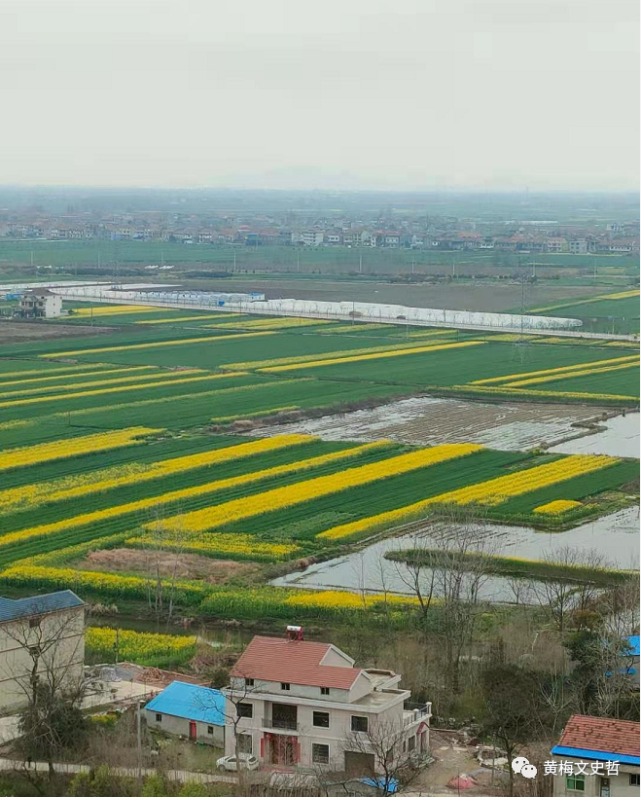 黄洪雨|游蔡山李英村记|李英村|黄洪雨|蔡山镇|黄梅县|长江