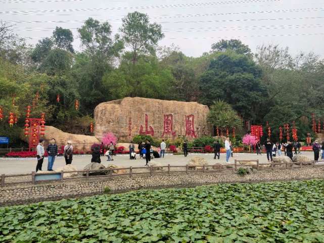 鳳凰山森林公園|深圳|鳳凰山|福永鎮|登山|鳳凰村