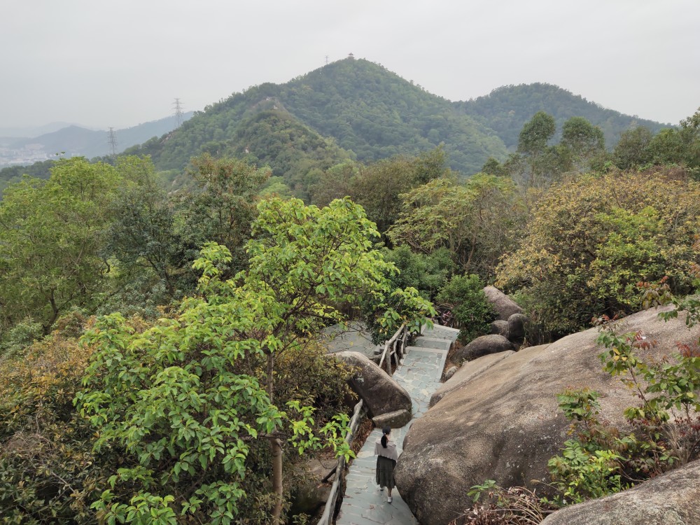 公園位於深圳寶安區福永鎮鳳凰村,鳳凰山大道東向盡頭(主入口),是登山