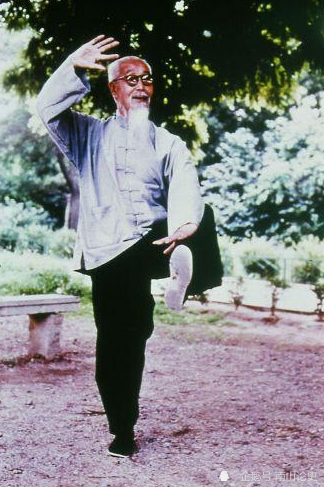 浅谈吴图南的拳术造诣功夫贯通杨吴2家还曾师从于臂圣