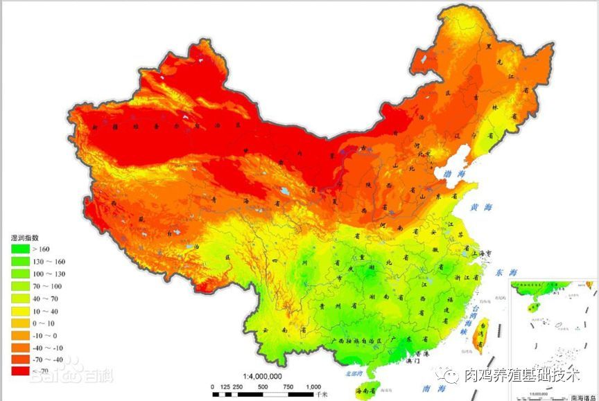 温度|养鸡应该如何关注温度和湿度的管理（供参考）