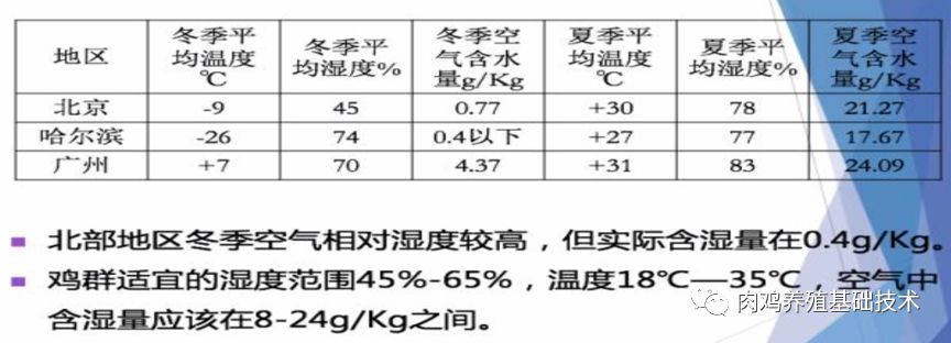 温度|养鸡应该如何关注温度和湿度的管理（供参考）