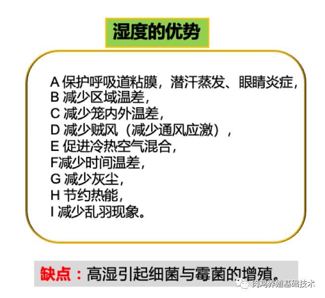 温度|养鸡应该如何关注温度和湿度的管理（供参考）