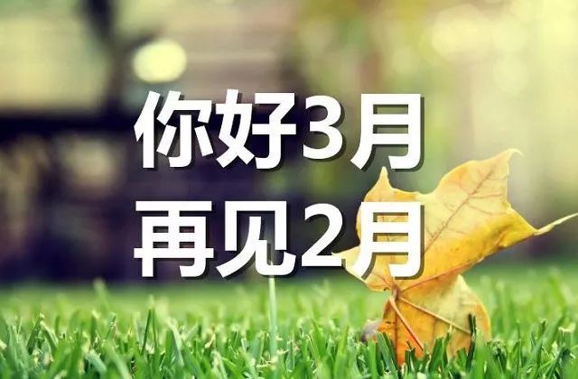 二月再见三月你好朋友圈说说3月你好唯美句子大全