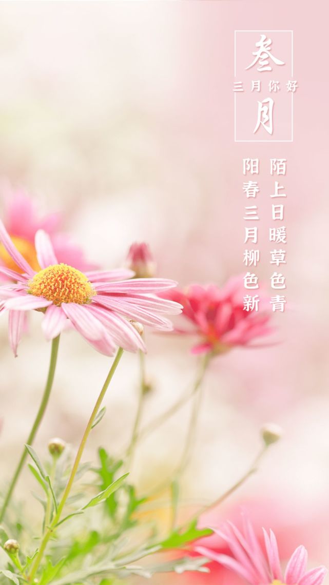 二月再见三月你好迎接3月的心情说说句子大全