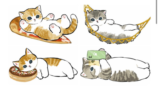 当猫咪们群体出现