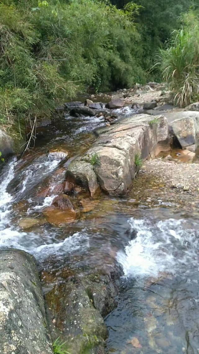 一个能让心留下来的地方——山顶溪头