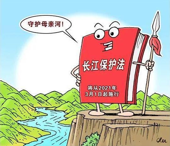长江保护法正式实施非法电捕鱼抓