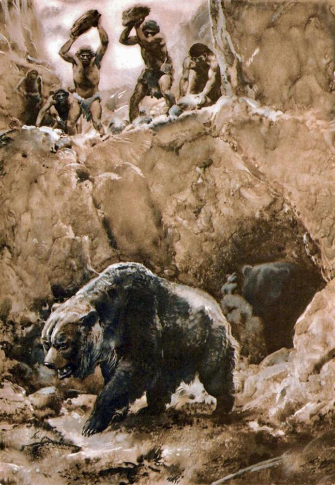 棕熊有洞熊的基因?