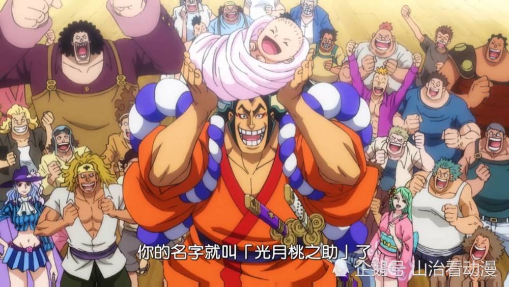 海贼王964集御田与天月时秀恩爱小马哥很好奇桃之助出生了