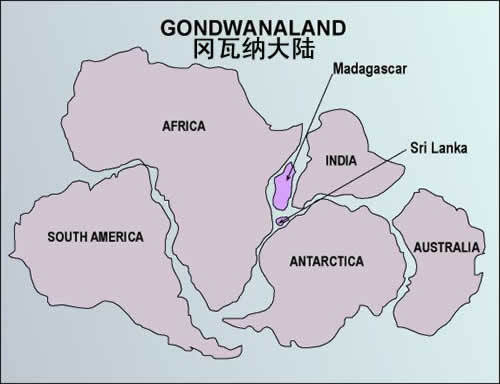 科学家|世界第8大洲被证实，94％陆地在海底，教科书未来可能改写