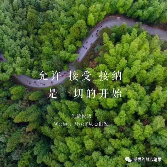 接纳生活所是就有力量改变一切