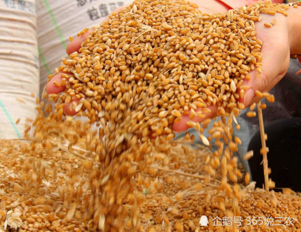 惊蛰将至农村俗语雷打惊蛰麦堆如山啥意思