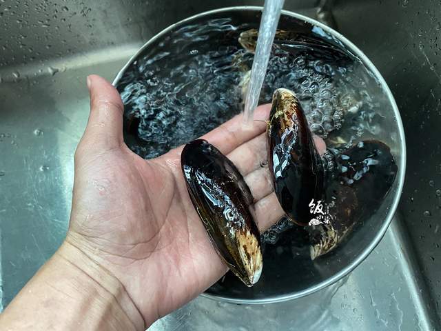 第一步,先把贻贝清洗干净了,表面杂质比较多,用刷子刷干净,不然泥沙会