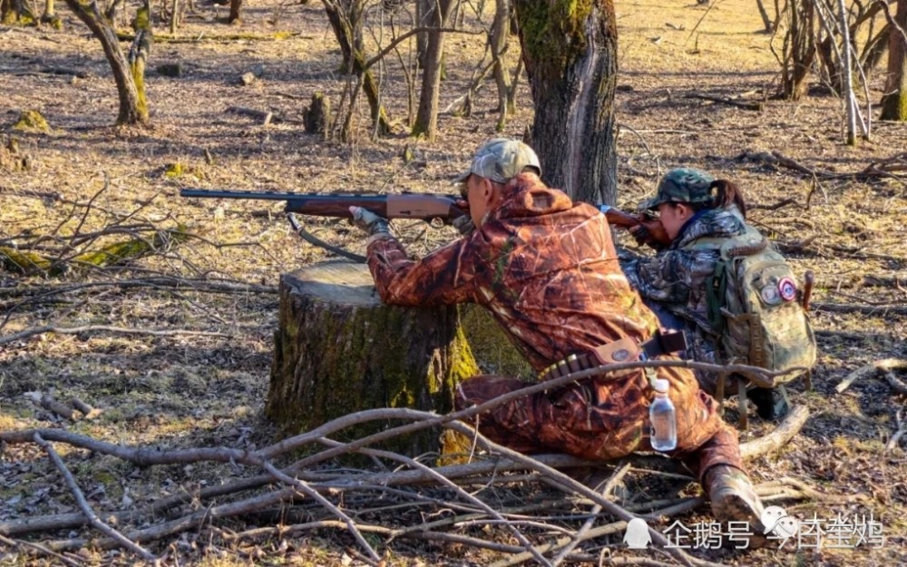 大水川皇家牧马狩猎场对外开放啦!_腾讯新闻