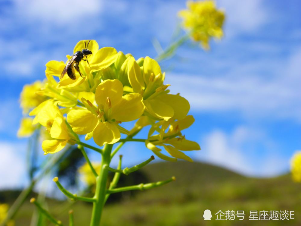 3月1日星座运势 养精蓄锐 实力大增的四大星座 腾讯新闻