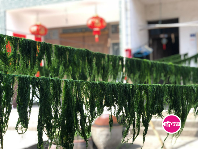 宁海东路角古村的这道美味 藏不住了 腾讯网