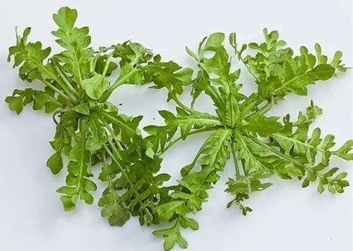 养肝|春天吃这七种蔬菜最养肝！关键是便宜，你一定别错过