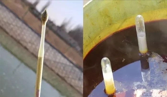 石硫合剂|石硫合剂清园效果好，熬制难把控