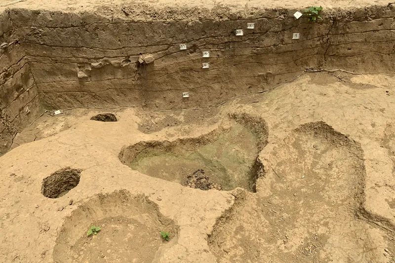 2018年,七星墩遗址被列入湖南省十大考古发现名单.