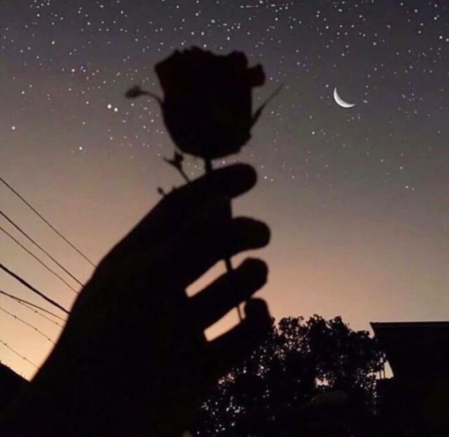 she wont let your news make you feel be swayed by