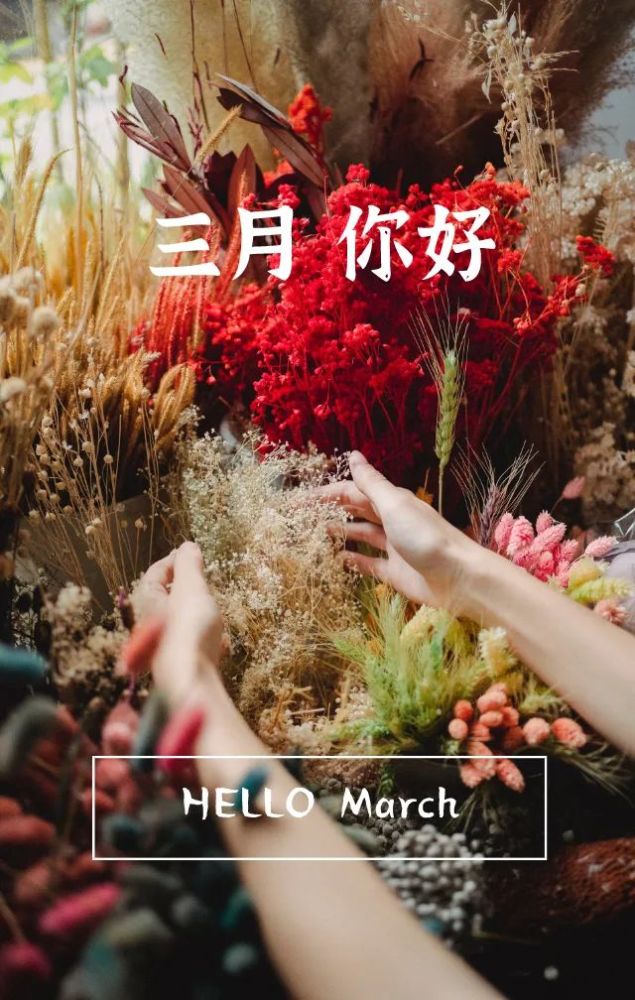 三月|二月再见三月你好图片励志语录 一转眼将迎来春暖花开的三月