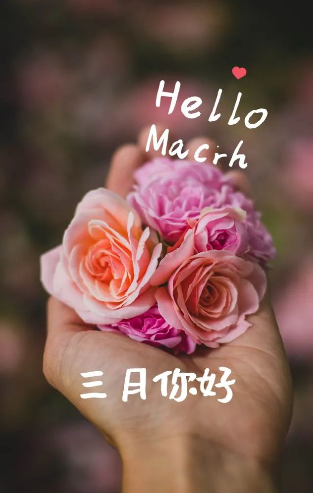 三月|二月再见三月你好图片励志语录 一转眼将迎来春暖花开的三月