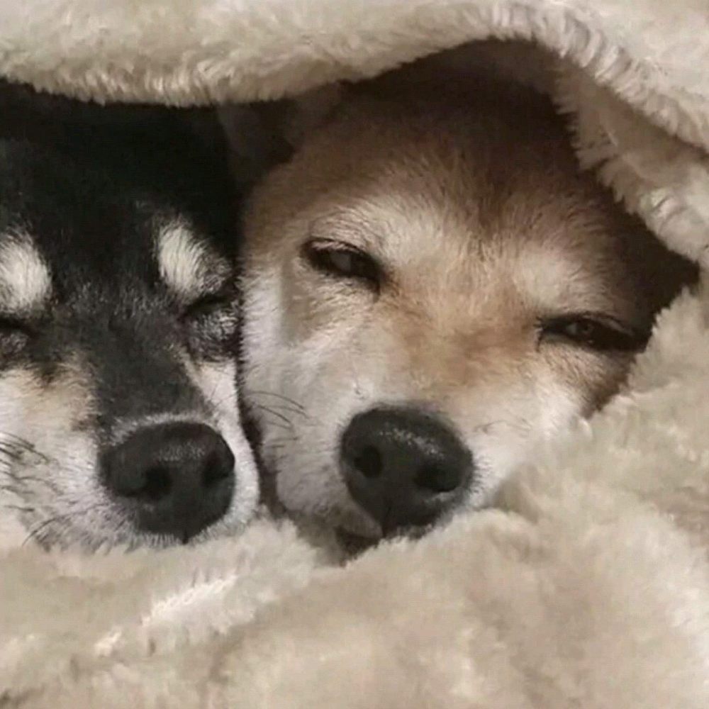 优质情头丨说简单点 我完全爱你