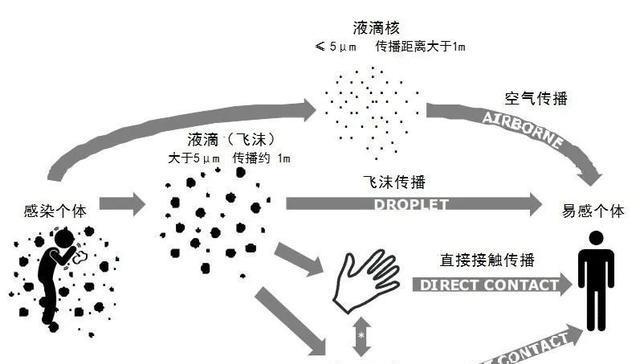 新冠病毒何以成为航海梦魇?气溶胶是邮轮上病毒主要传播途径