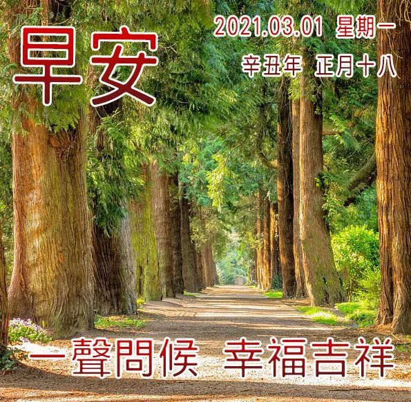 三月早上好祝福图三月早安祝福语 腾讯新闻