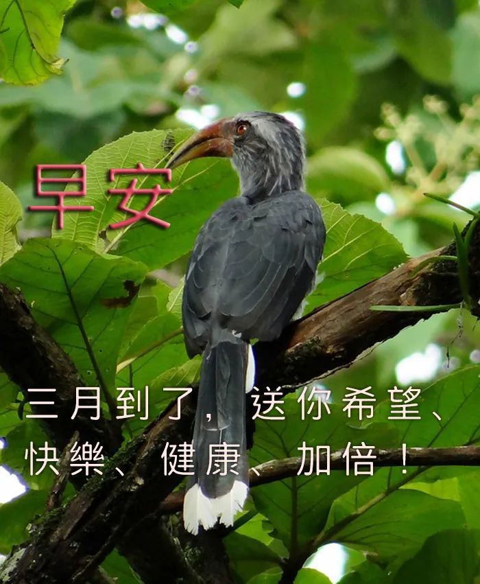 三月早上好祝福图三月早安祝福语 腾讯新闻