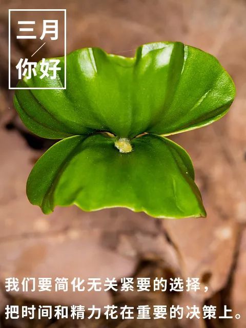 心语|三月早安心语句子 三月你好图片请查收