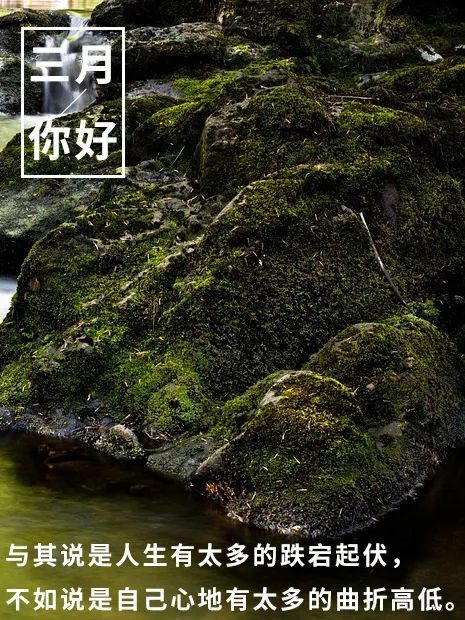 心语|三月早安心语句子 三月你好图片请查收