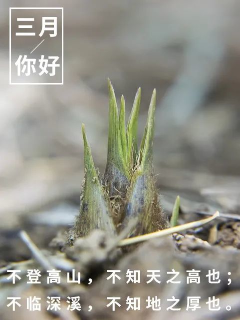 心语|三月早安心语句子 三月你好图片请查收