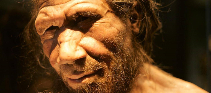 智人|我们究竟为何会成为唯一幸存的人类？智人漫漫演化史