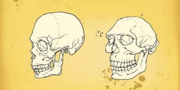 智人|我们究竟为何会成为唯一幸存的人类？智人漫漫演化史