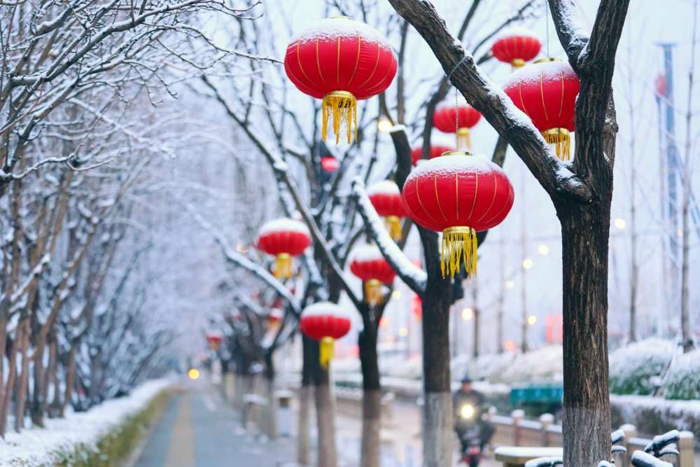 一觉醒来北京又下雪了新鲜雪景图已到货