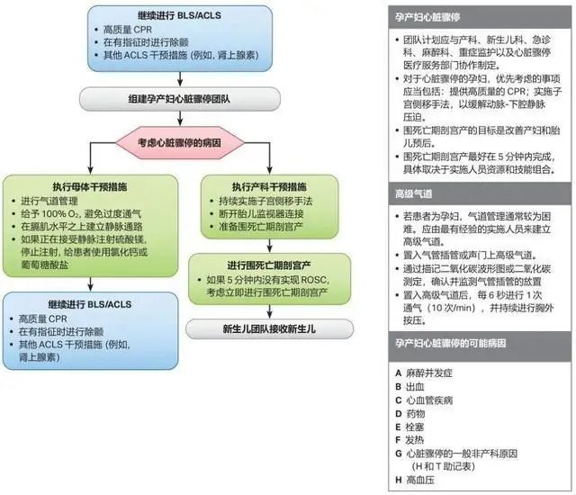 2020美國aha孕婦心臟驟停心肺復甦更新內容