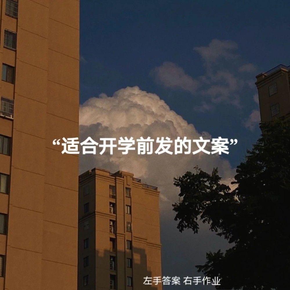 no131适合开学的沙雕文案