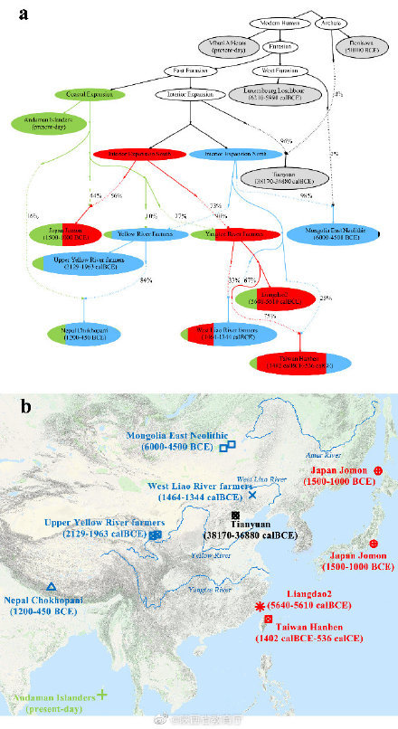 西安交通大学|西安交大联合研究成果在《自然》发表！