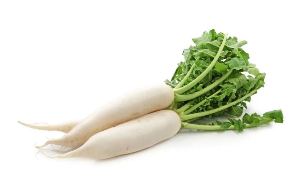 心脏|这14种病都是气出来的，再生气命都没了