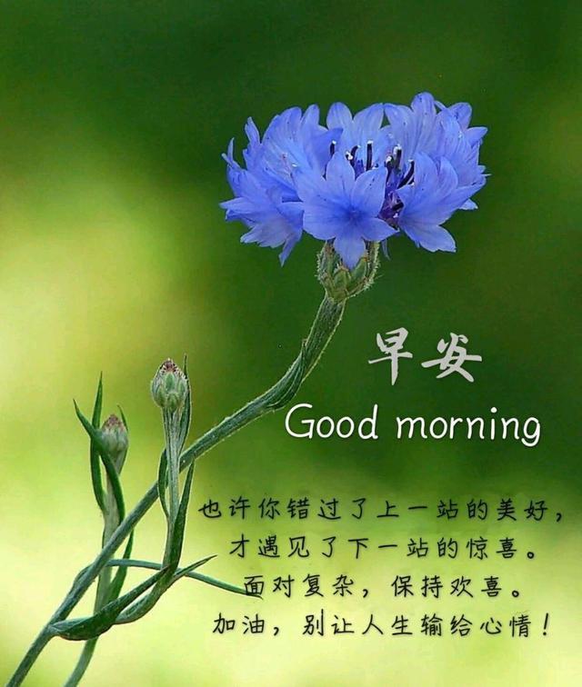 朋友圈早安励志金句,努力提升,不断完善,保持破茧而出的勇气!