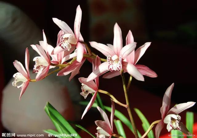 人民币|原来人民币上竟有这样的“小心机”，你发现了吗？