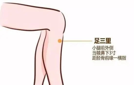 养肝|肝好人长寿，肝坏“眼”先知！养肝三部曲，帮你拥有“长寿肝”