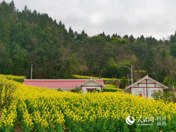 四川仓山镇:扶贫干部冲锋在前 镇党委是坚强后盾