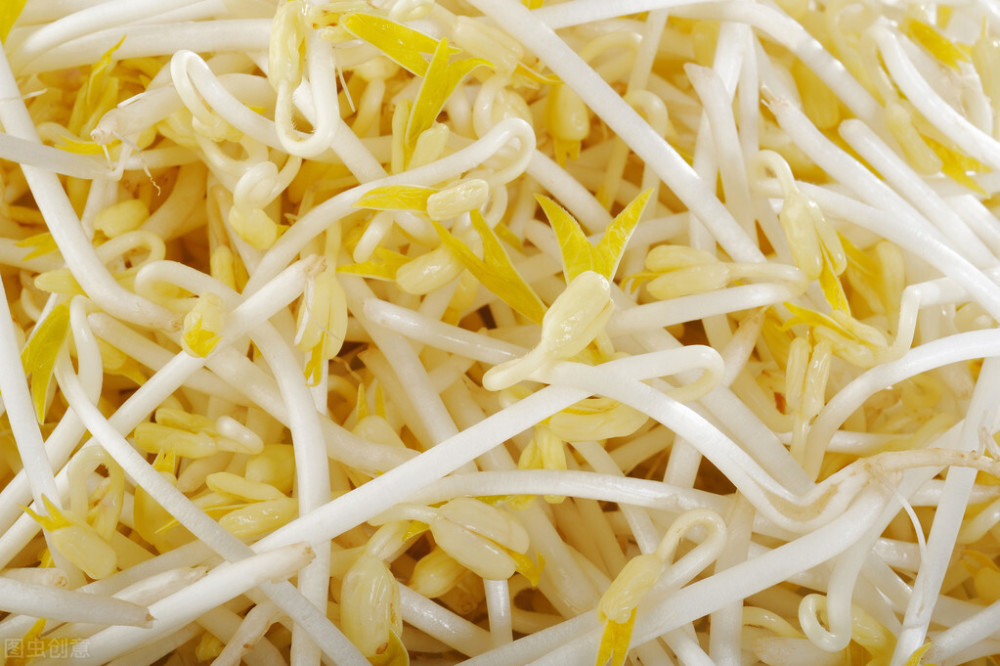 豆芽|生豆芽为什么会烂芽？学会生豆芽在家就能做