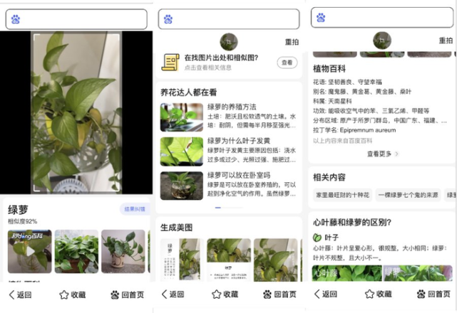 "会用百度大字版app这个识万物功能以后,我总是能知道一些以前叫不上