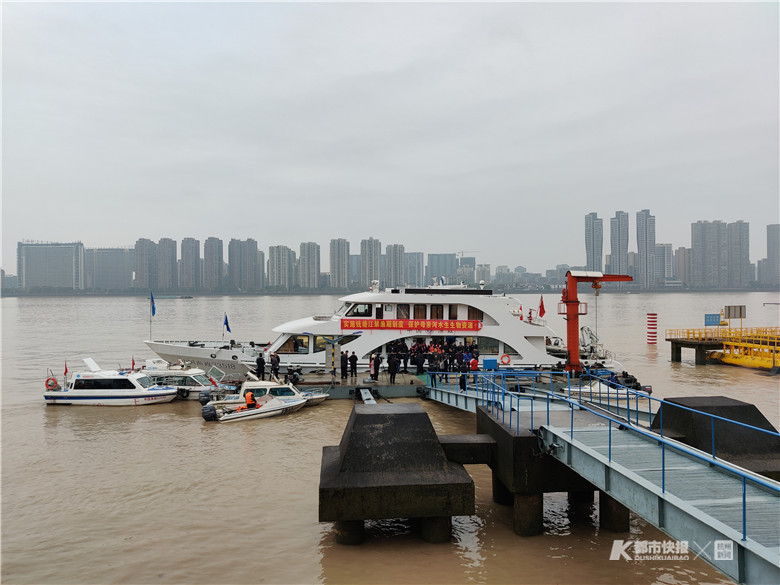 钱塘江流域今后禁止捕捞鳗苗