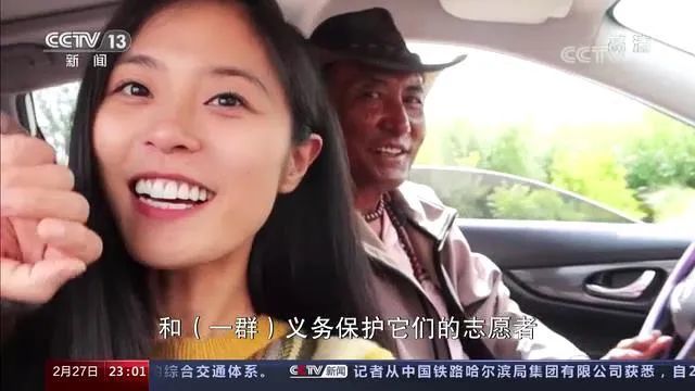 她的说走就走其实不简单白岩松点赞衢州姑娘朱宁锐